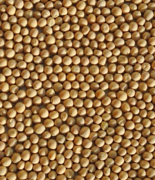 gelbe Erbsen 500 g